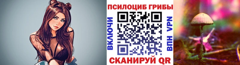 Купить  Данков  Псилоцибиновые грибы ЛСД 